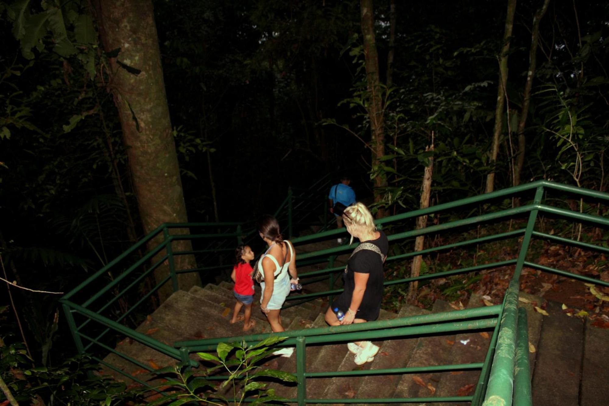 Hostel Tortuguero 7BackPackers Exterior foto